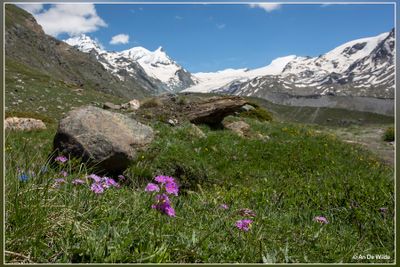 _MG_6222.jpg