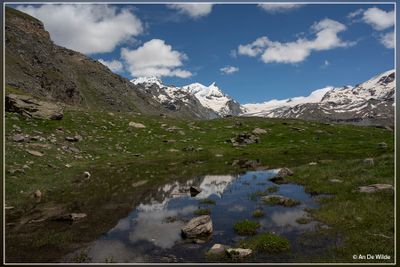 _MG_6231.jpg