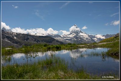 _MG_6249.jpg