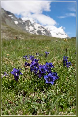 _MG_6269.jpg