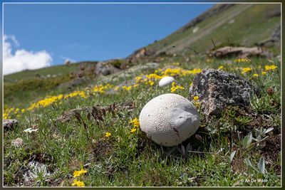 _MG_6304.jpg