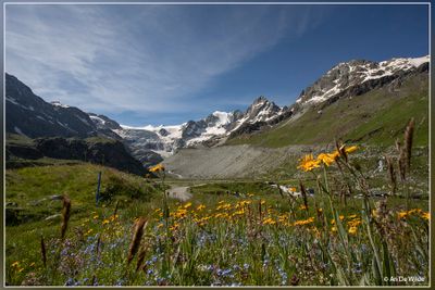 _MG_7113.jpg