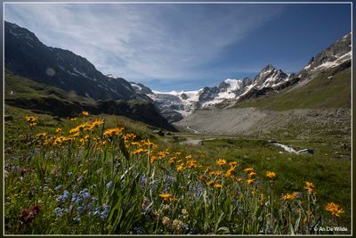 _MG_7114.jpg