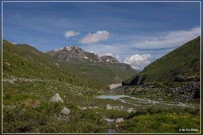 _MG_7171.jpg