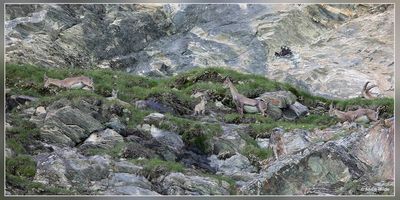 _MG_7328.jpg