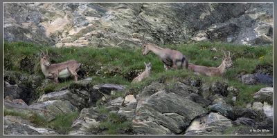 _MG_7382.jpg
