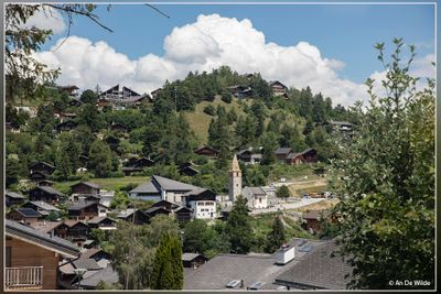 _MG_7476.jpg