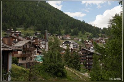 _MG_7614.jpg