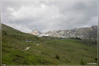 _MG_7991.jpg