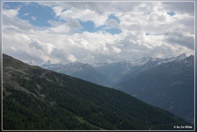 _MG_7995.jpg