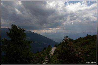 _MG_7997.jpg