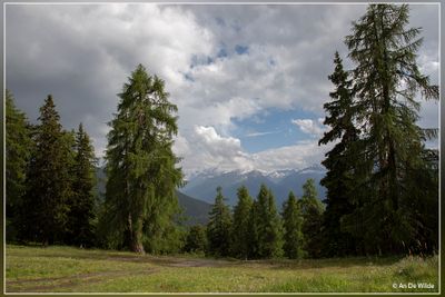 _MG_8030.jpg