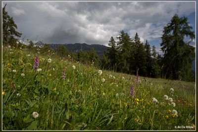 _MG_8039.jpg