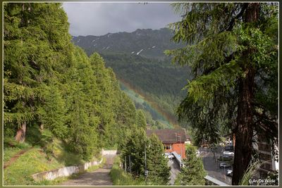 _MG_8125.jpg
