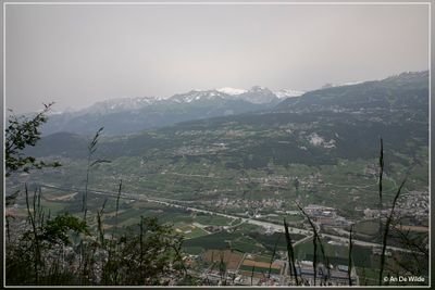 _MG_9899.jpg