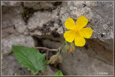 _MG_9908.jpg
