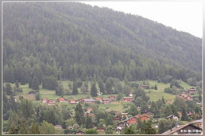 _MG_9945.jpg