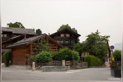 _MG_9985.jpg