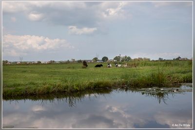 _MG_8620.jpg