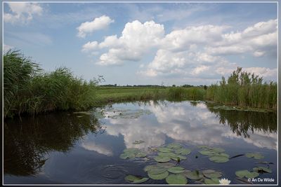 _MG_8623.jpg