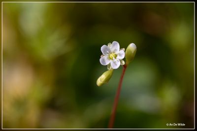_MG_8423.jpg