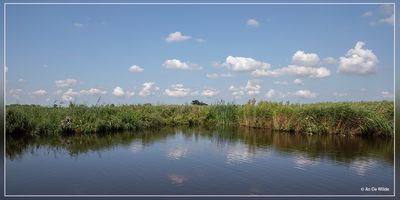 _MG_8431.jpg