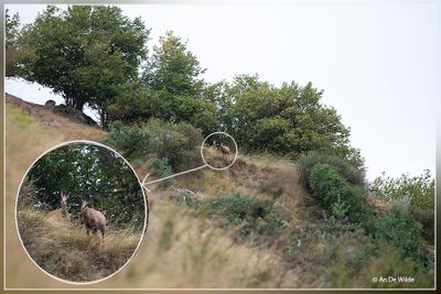 _MG_1314kopie.jpg