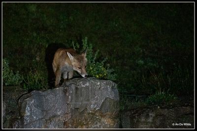 _MG_1502.jpg