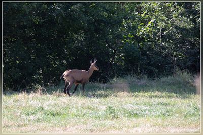 _MG_0712.jpg