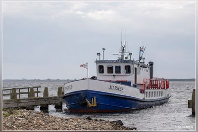 _MG_5130.jpg