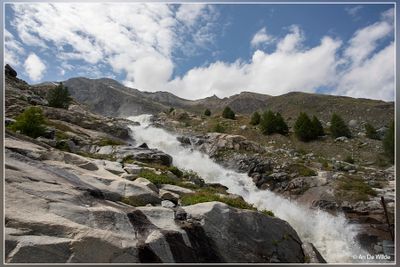 _MG_1022.jpg