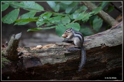 _MG_5644.jpg