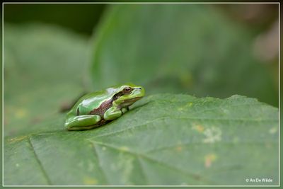 _MG_6319.jpg