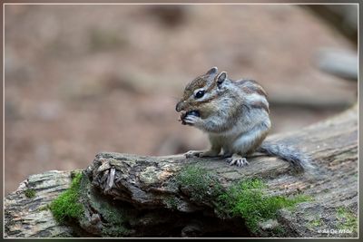 _MG_5707.jpg