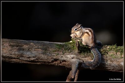_MG_6143.jpg