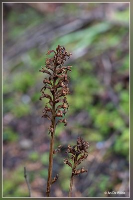 _MG_1678.jpg