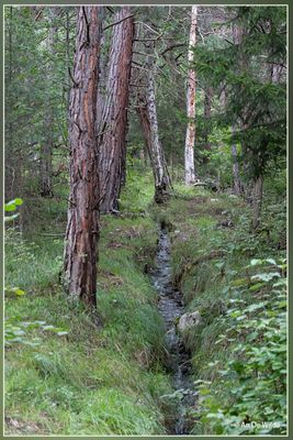 _MG_1745.jpg