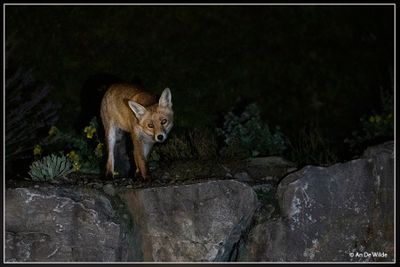 _MG_3199.jpg