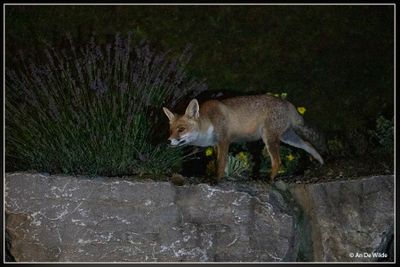 _MG_3209.jpg