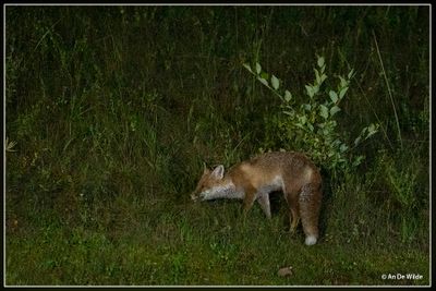 _MG_1796.jpg