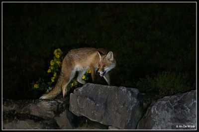 _MG_1864.jpg