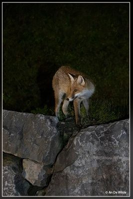 _MG_1886.jpg