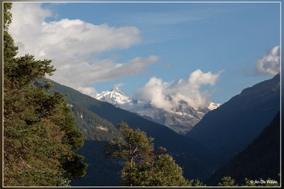 _MG_2338.jpg