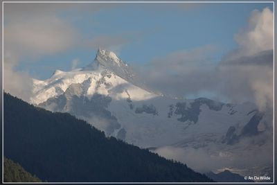_MG_2377.jpg