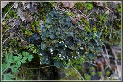 _MG_2546.jpg