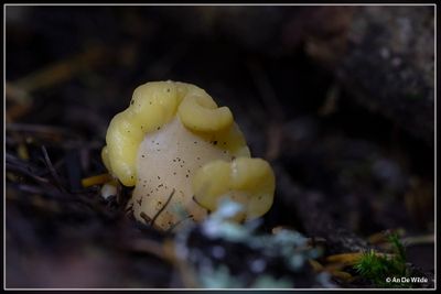 _MG_2846.jpg