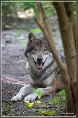 _MG_7158.jpg