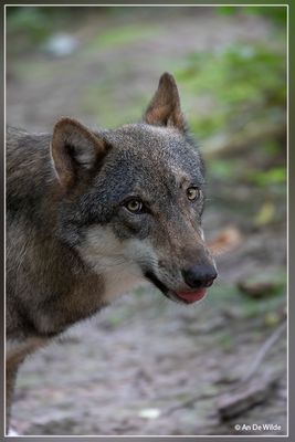 _MG_7175.jpg