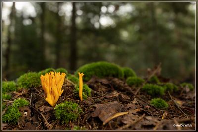 _MG_7856.jpg