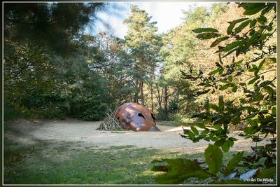 _MG_7942.jpg